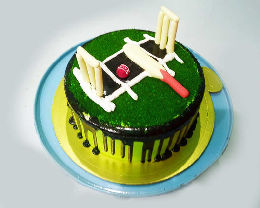 Cricket Pitch Designer cake