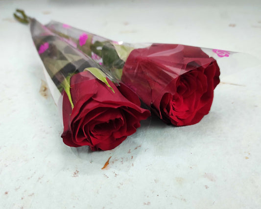 Set of 2 Red Roses