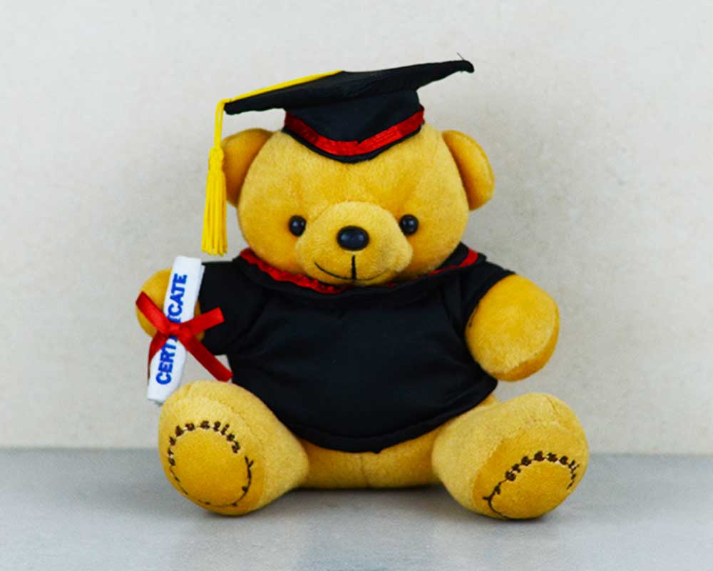 Graduation Teddy Soft Toy