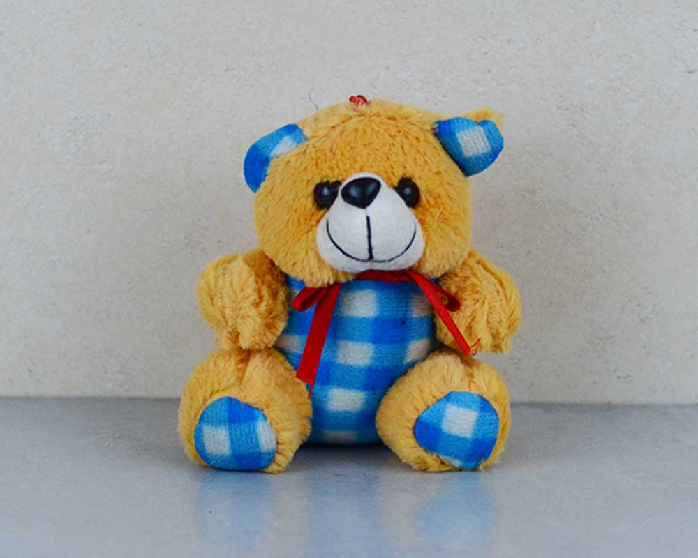 Fluffy Checker Teddy Bear Soft Toy